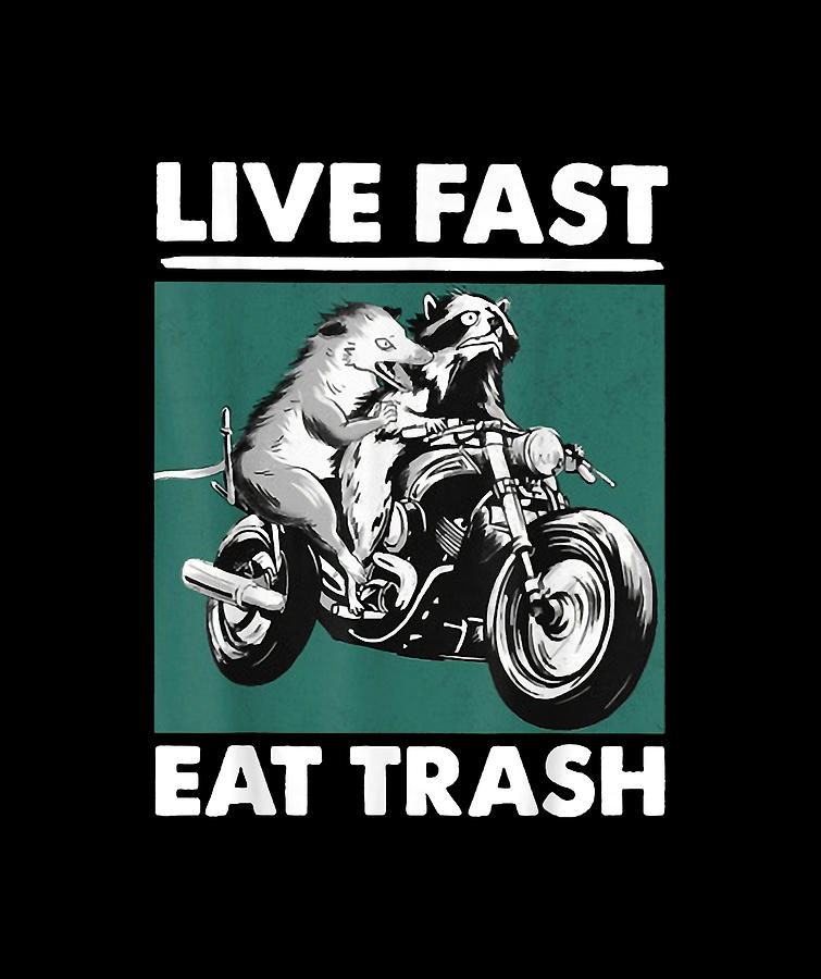 Live Fast Eat Trash Raccoon Opossum Motorcycle Digital Art By Do Tran Quang Fine Art America