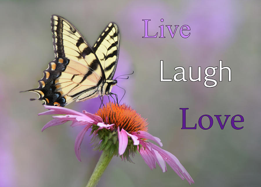 Live Laugh Love Photograph by Ann Bridges