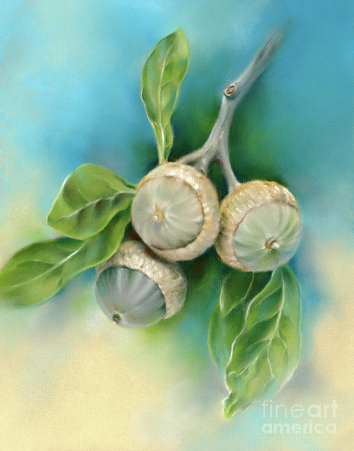 Live Oak Acorns and Leaves Painting by MM Anderson
