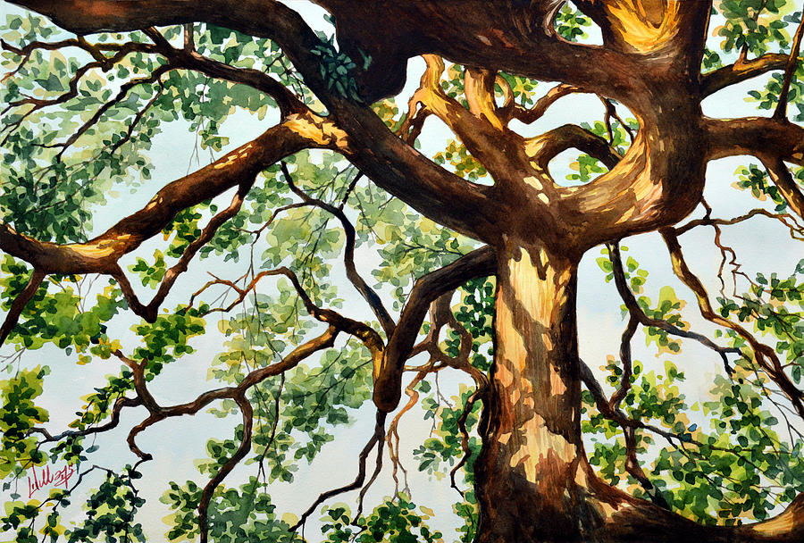 Live Oak in setting sun Painting by Mick Williams