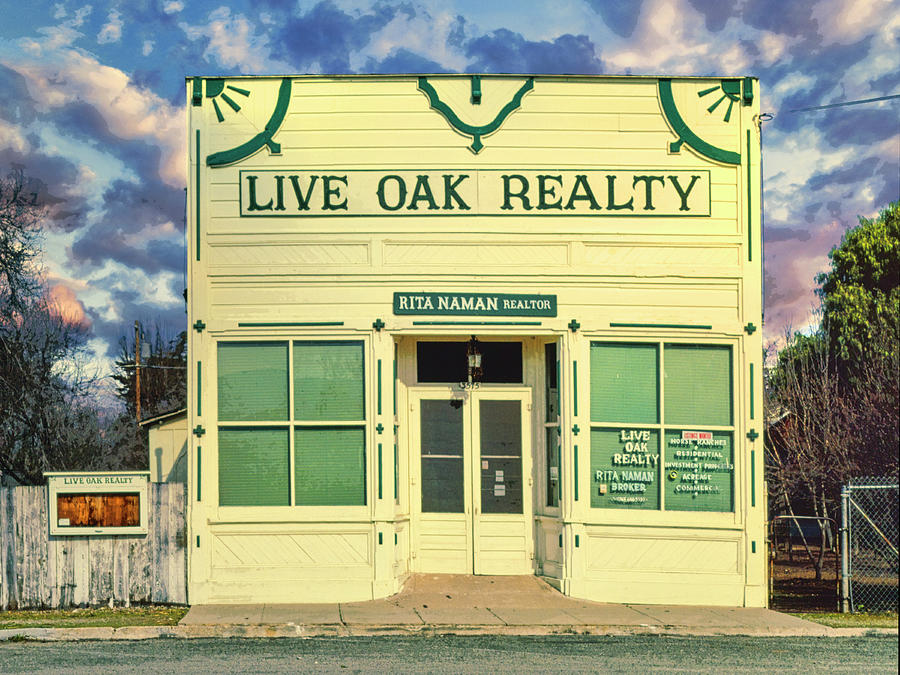 Live Oak Realty Photograph by Dominic Piperata