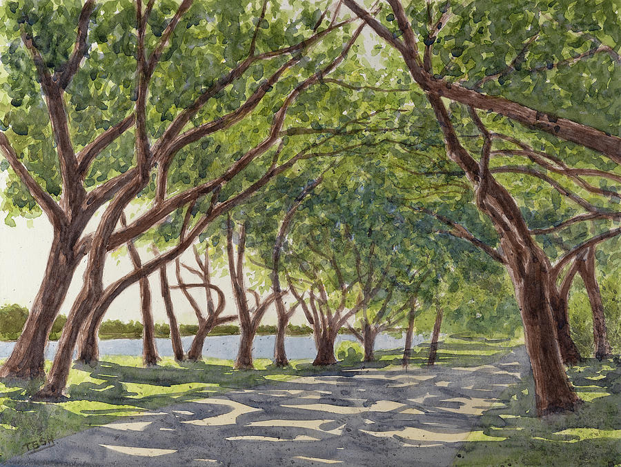Live oaks of Beautort Painting by Tesh Parekh