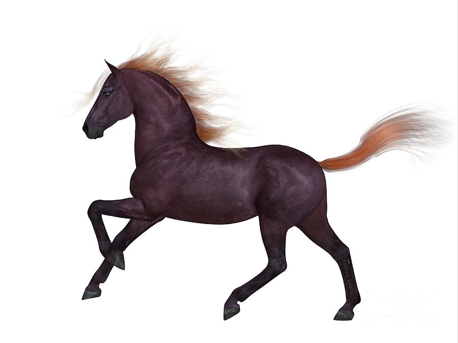 Liver Chestnut Horse Digital Art by Corey Ford