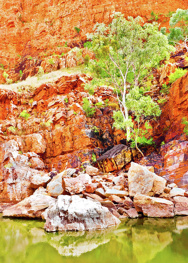 Living in the Rocks - Ormiston Gorge Photograph by Lexa Harpell