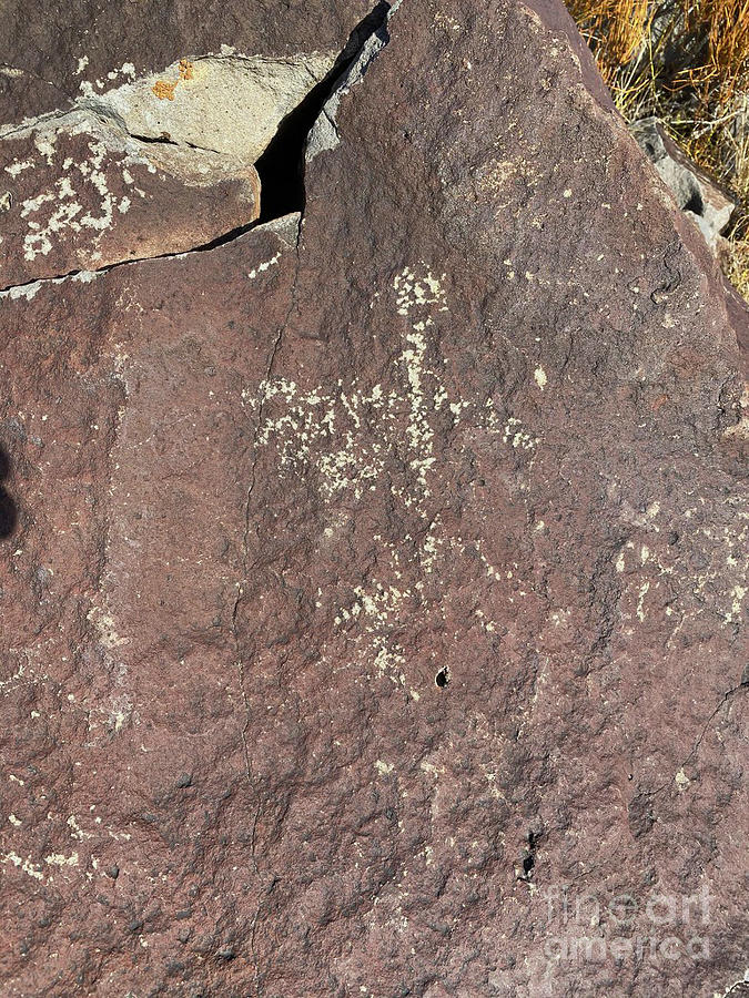 Lizard Petroglyph Digital Art by Doug Gist