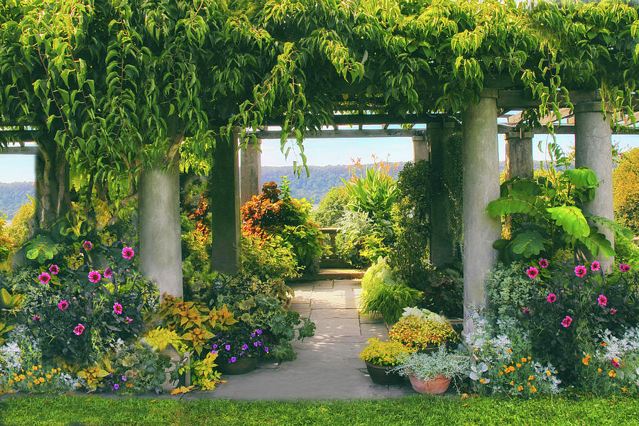 Pergola of Wave Hill Photograph by Jessica Jenney