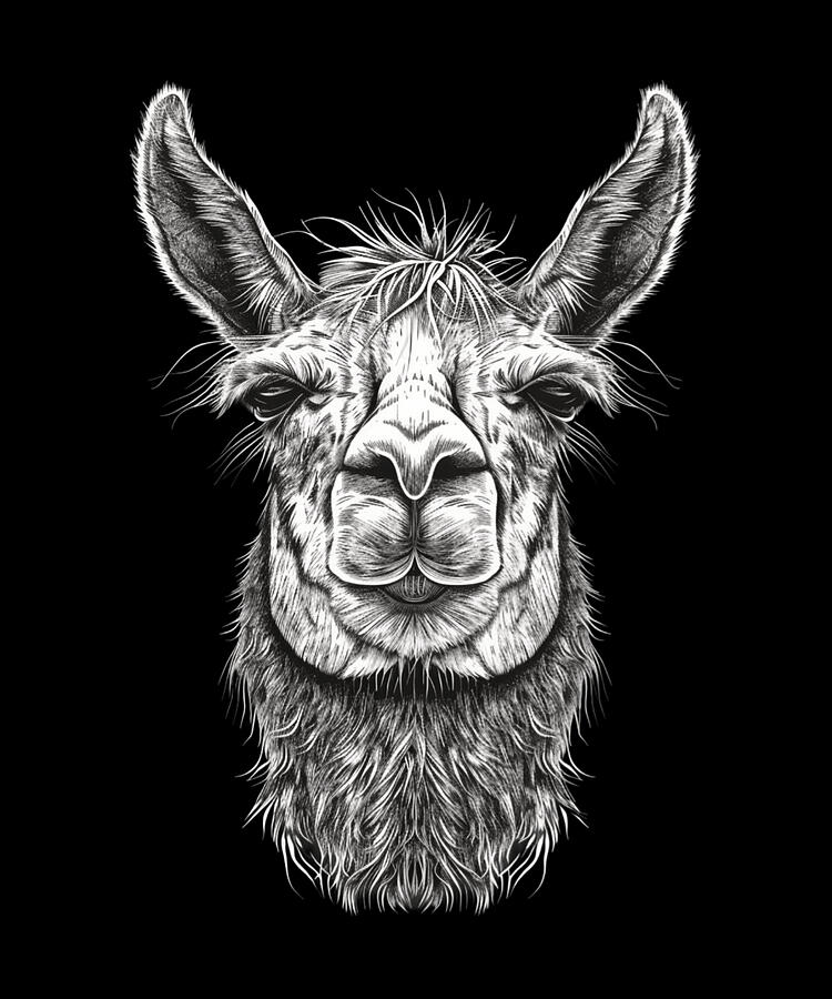 Animal Digital Art - Llama Community Projects by Robertz-schuler