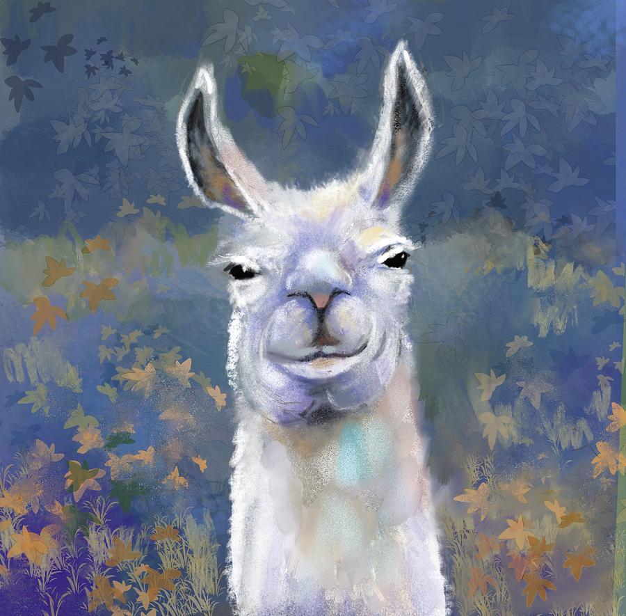 Llama Digital Art by Elaine Pawski
