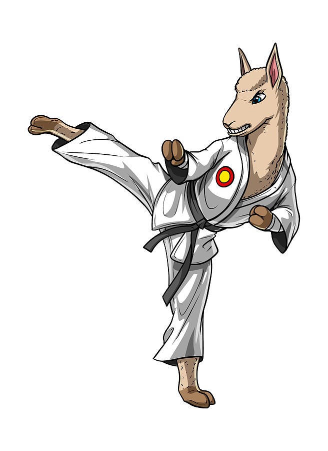 Llama Karate Digital Art by Nikolay Todorov - Pixels