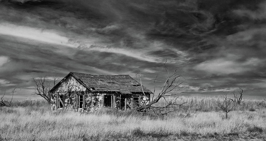 Llano Estacado Homestead Photograph by Stephen Stookey