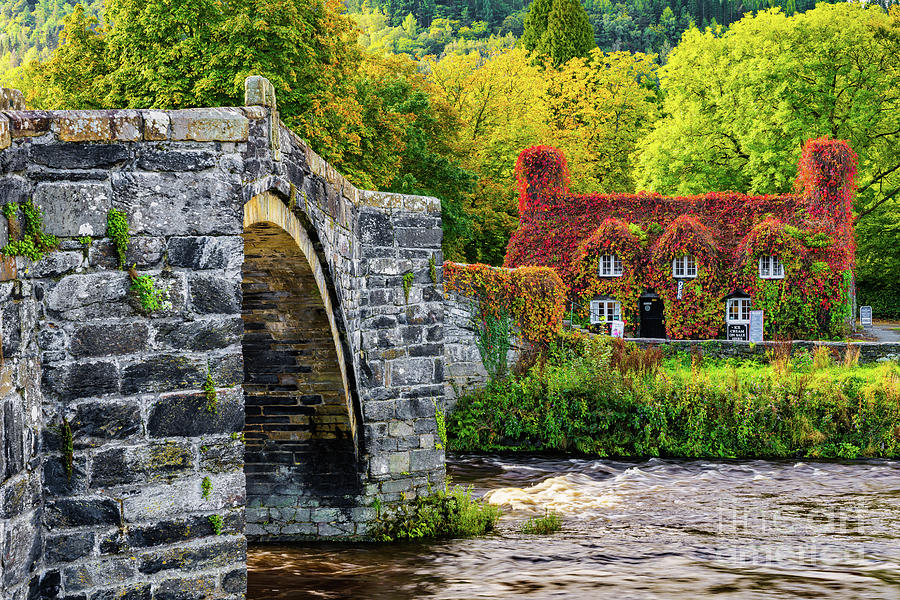 Fall Photograph - Llanrwst Ivy Cottage by Adrian Evans