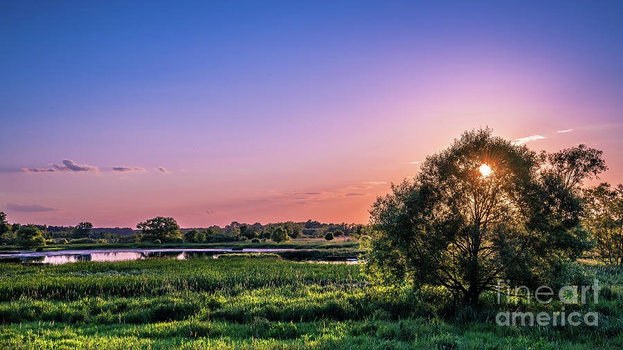 Loblolly Marsh Color Photograph by Thomas Sprunger - Fine Art America