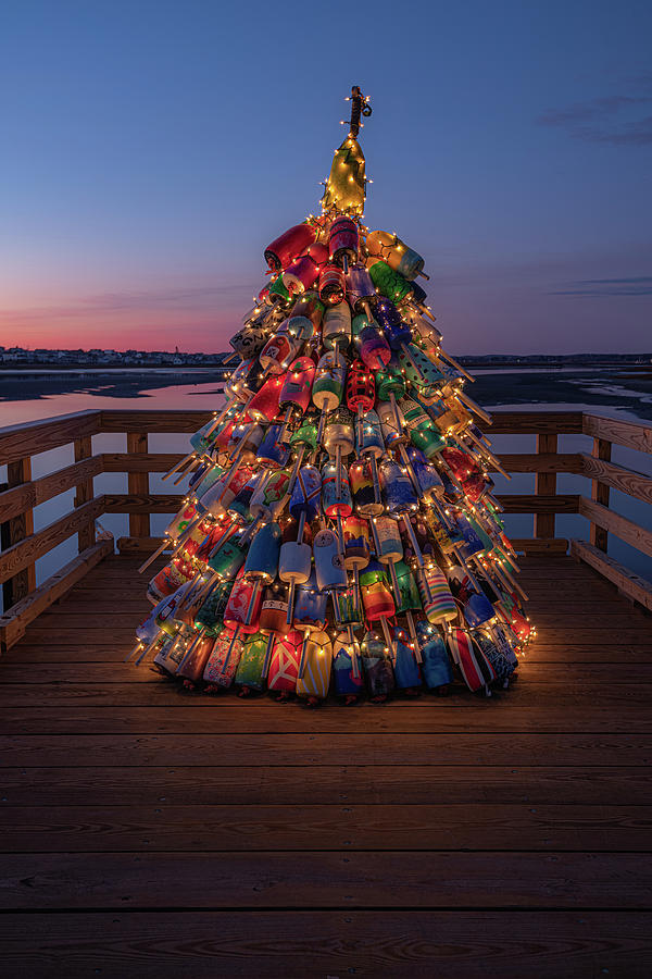 Lobster Buoy Tree Photograph by Eric Storm - Fine Art America