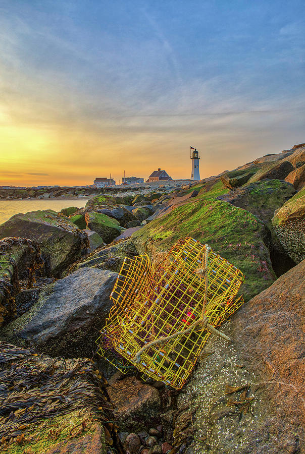Lobster Cage on the Jetty at Old Scituate Lighthouse  Photograph by Juergen Roth