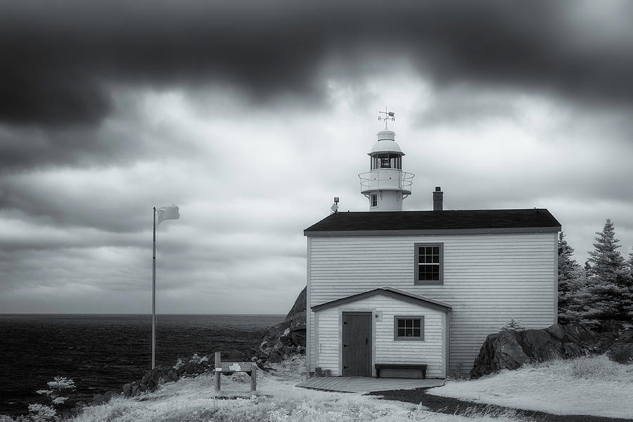Lobster Cove Head lighthouse in infrared Photograph by Murray Rudd