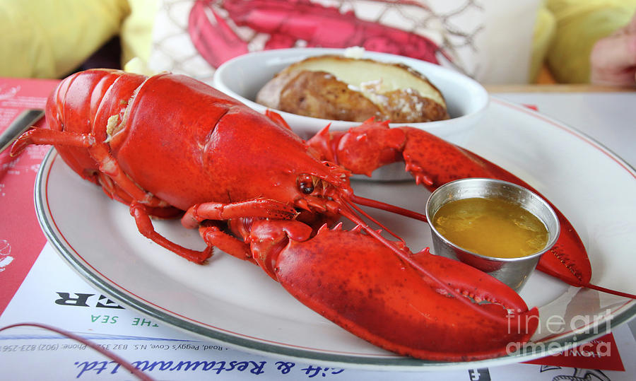 Lobster Dinner 5927 Photograph by Jack Schultz