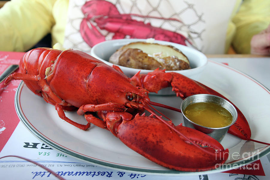 Lobster Dinner At Peggys Cove Souwester Restaurant  5927- Photograph