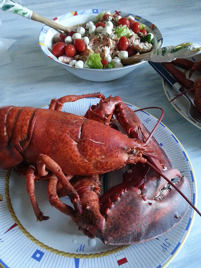 Lobster Dinner Photograph