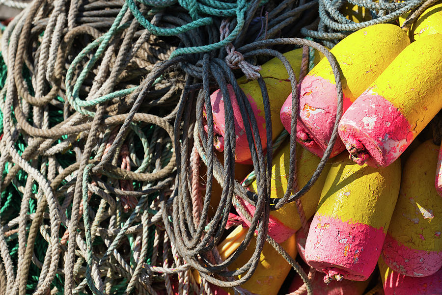 Maine Photograph - Lobster Fisherman Swag by Jonathan Sabin Maine Photograph - Lobster Fisherman Swag by Jonathan Sabin