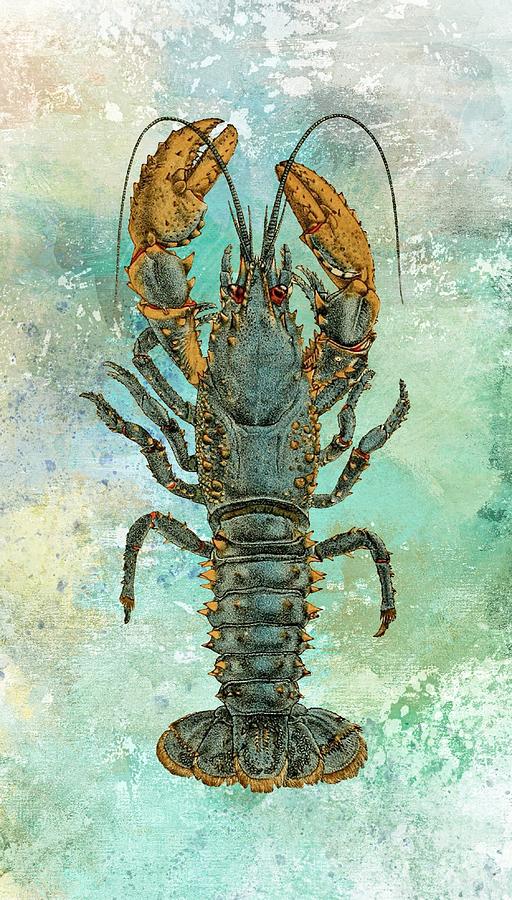 Lobster From The Briny Sea  Digital Art by HH Photography of Florida