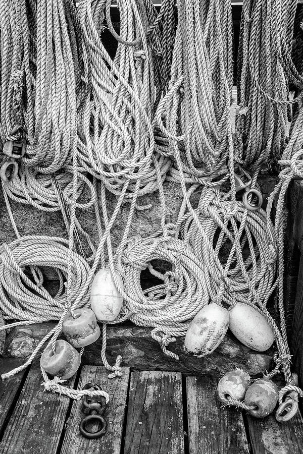 Lobster Gear, York, Maine Photograph by Dawna Moore Photography