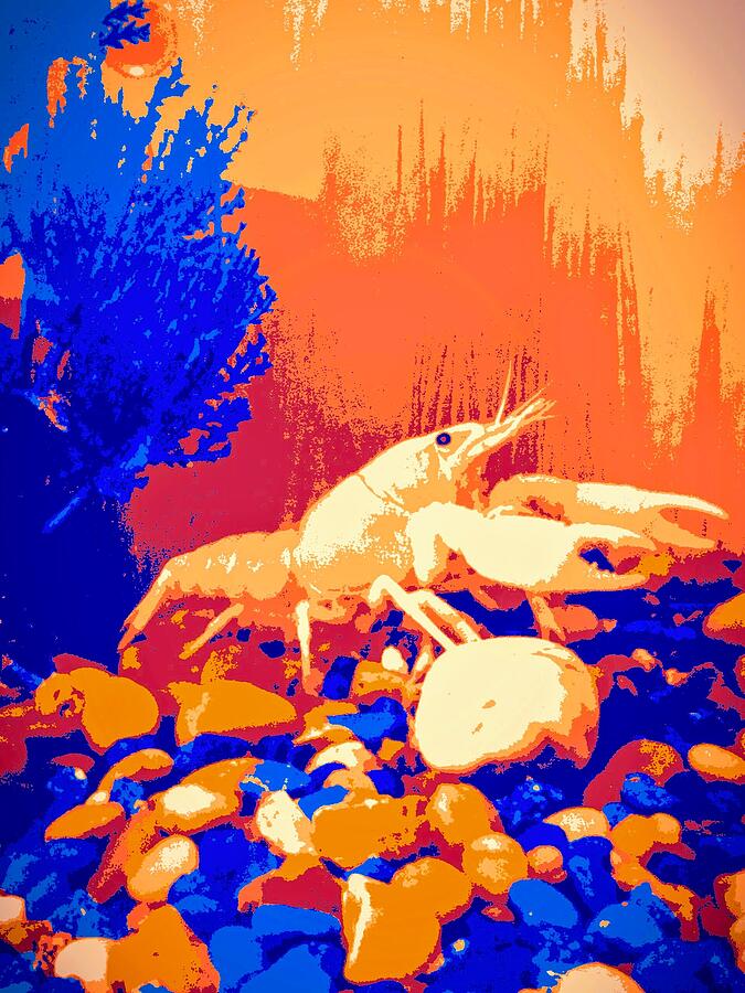 Lobster life Photograph by Ondria James