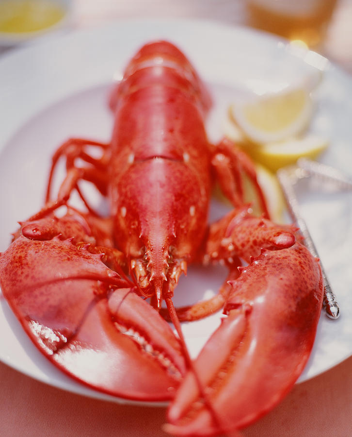 Lobster on a plate with a lemon and cracker. Photograph by Victoria Pearson