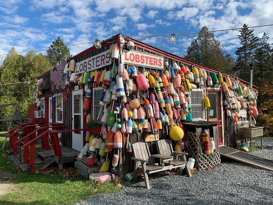 Lobster Shack In Bar Harbor Maine Photograph By Sara Leibold Pixels 5733