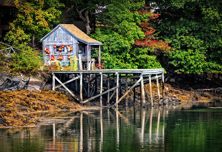 Lobster Shack in Maine Photograph by Carolyn Derstine