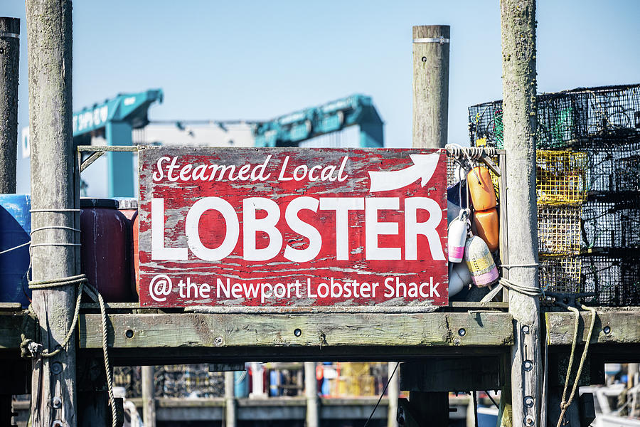 Lobster Sign Photograph by Denise Kopko