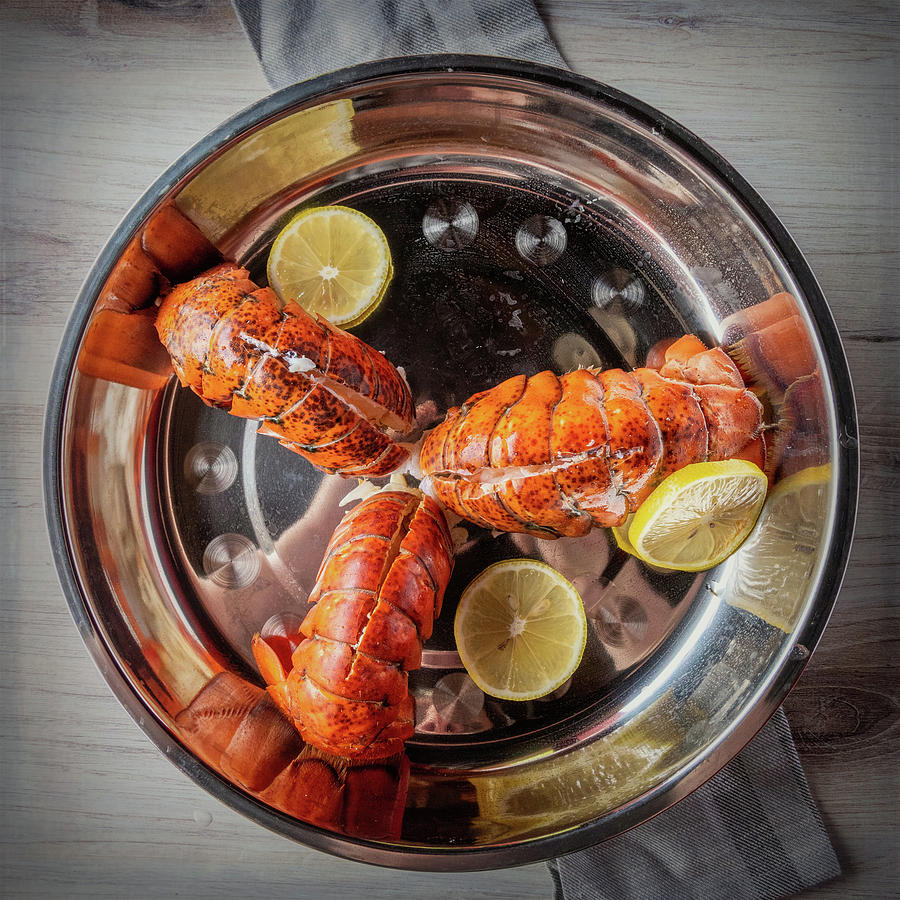 Lobster Tail Trio Photograph by Bradford Martin