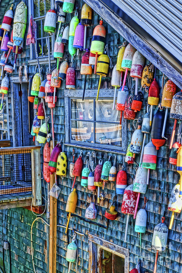 Lobster Trap Buoys Photograph by Tom Watkins PVminer pixs