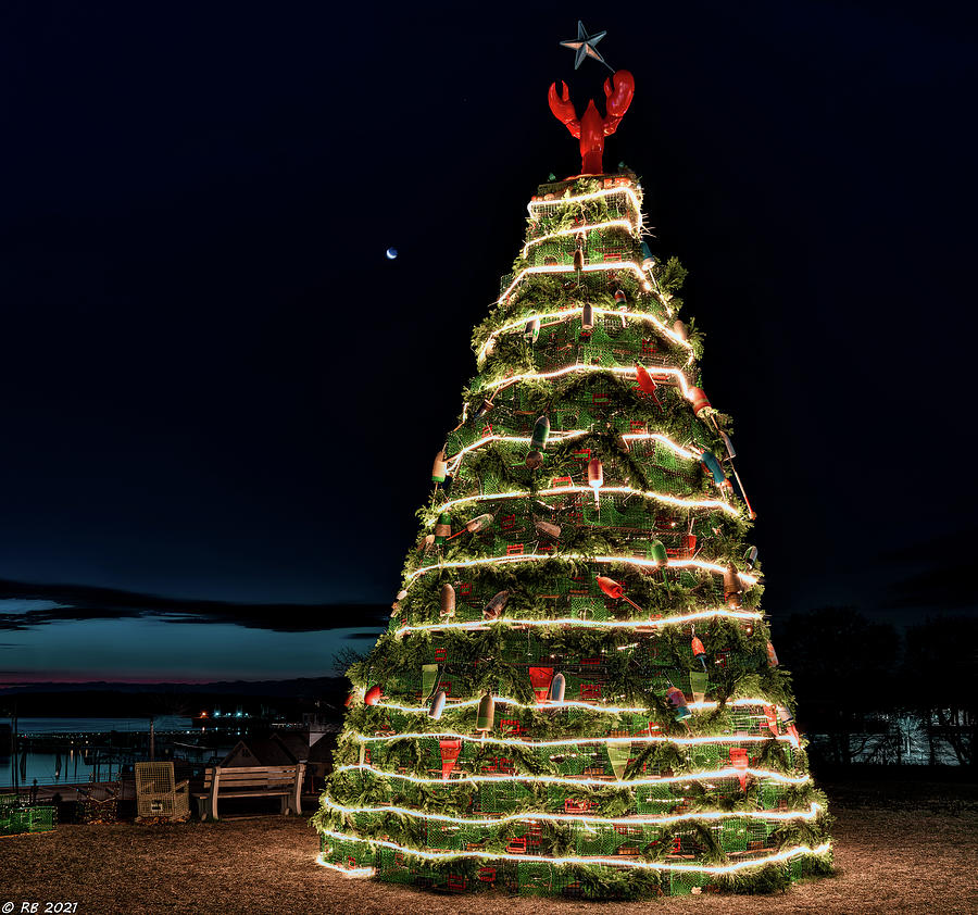 Lobster Trap Christmas Tree Rockland Maine 2021 Photograph by Richard Bean