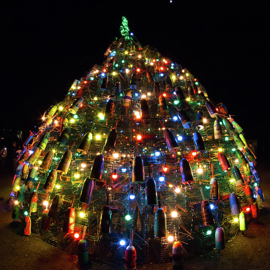 Lobster Trap Christmas Tree - Stonington CT Photograph by Kirkodd Photography Of New England