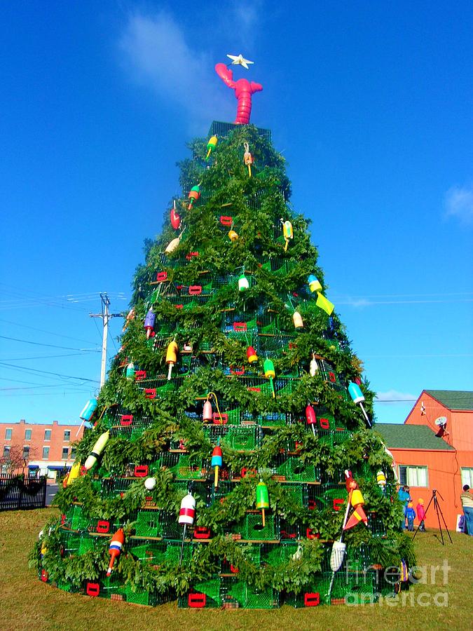 Lobster Trap Christmas Tree Photograph by Studio Two Twenty - Four ...