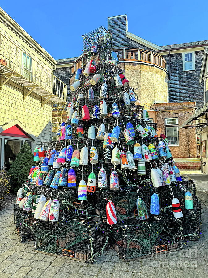 Lobster Trap Tree Scituate Massachusetts  Photograph by Janice Drew