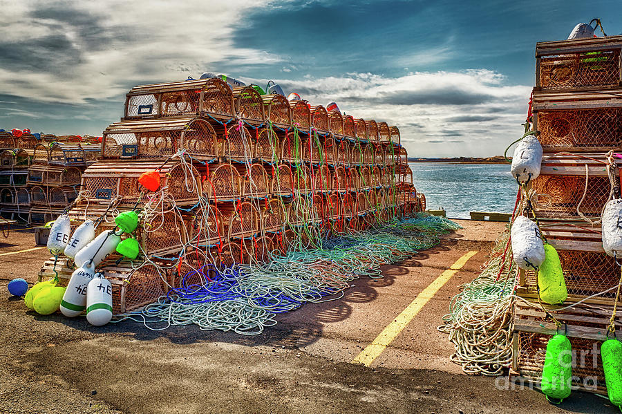 lobster-traps-2-photograph-by-robert-alsop-fine-art-america