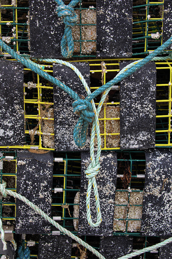 Lobster Traps and Blue Rope Photograph by Denise Kopko