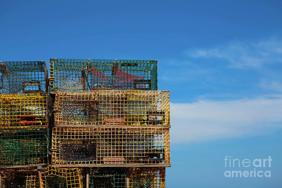 Maine Photograph - Lobster Traps in Maine by Diane Diederich