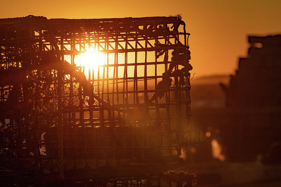 Lobster Traps in the Sunset Photograph by Denise Kopko