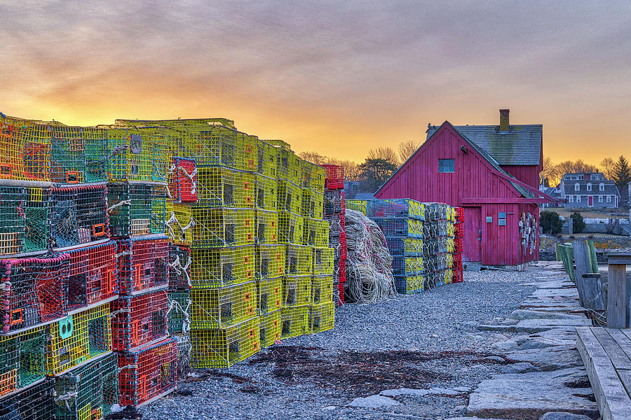 Lobster Traps on Bradley Wharf with Motif #1 Photograph by Juergen Roth