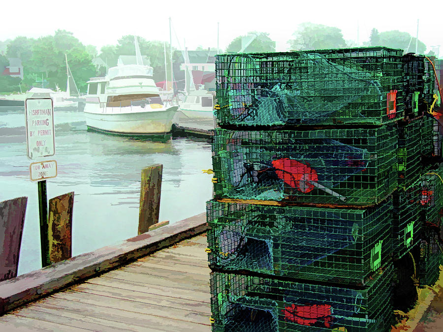 Lobster Traps on Dock Digital Art by Barry Wills