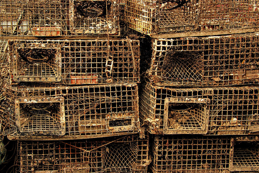 Lobster Traps2 Photograph by John Linnemeyer