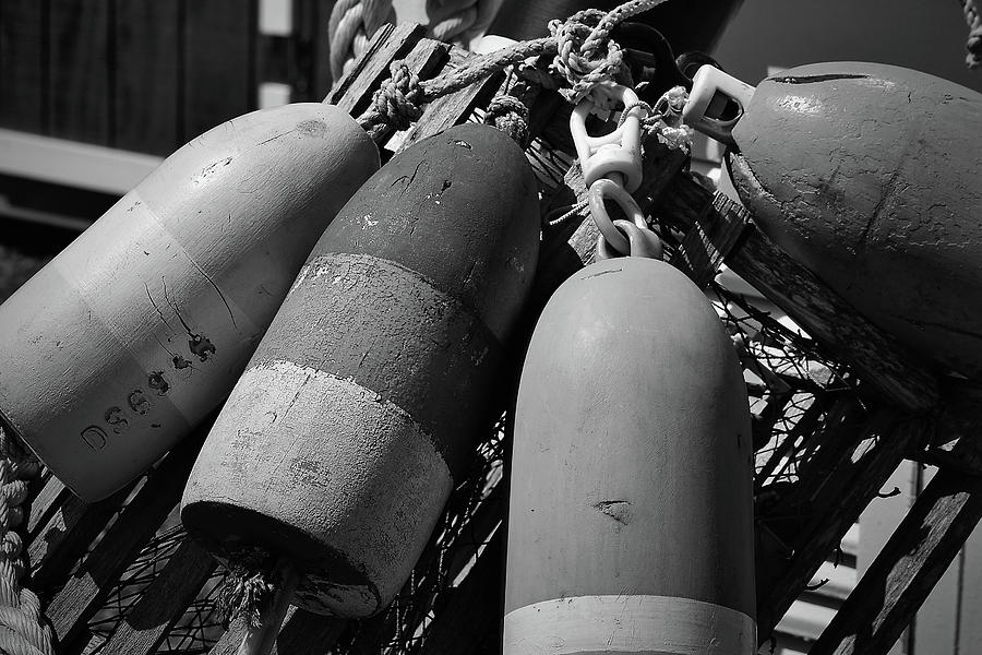 Lobstering Buoys In Black And White 2 Photograph