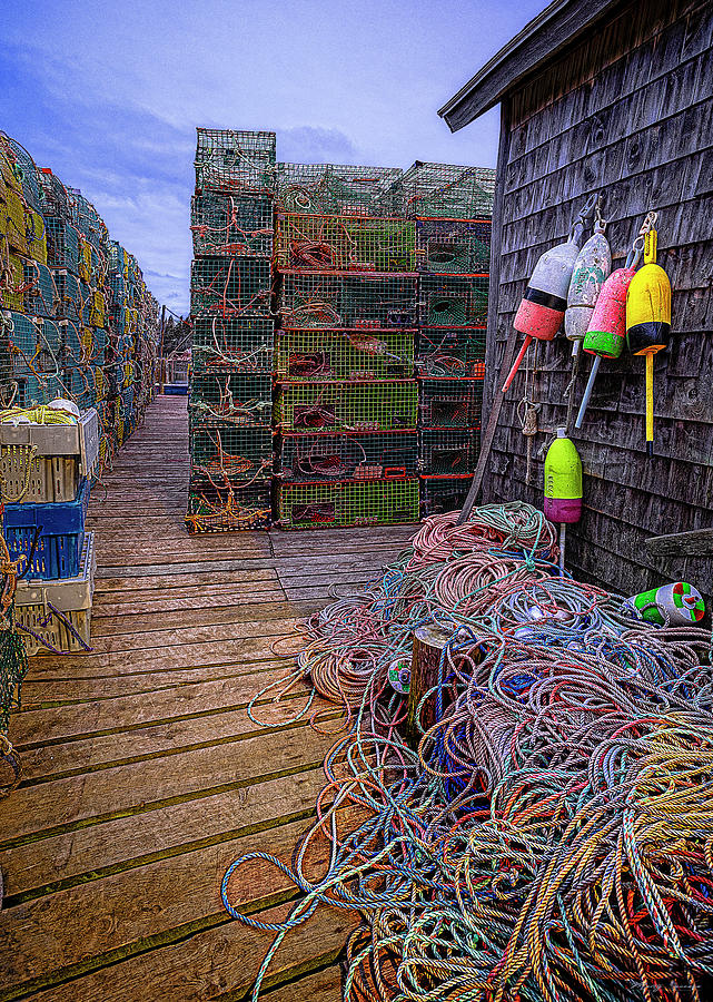 Lobstering Paraphernalia Photograph by Marty Saccone