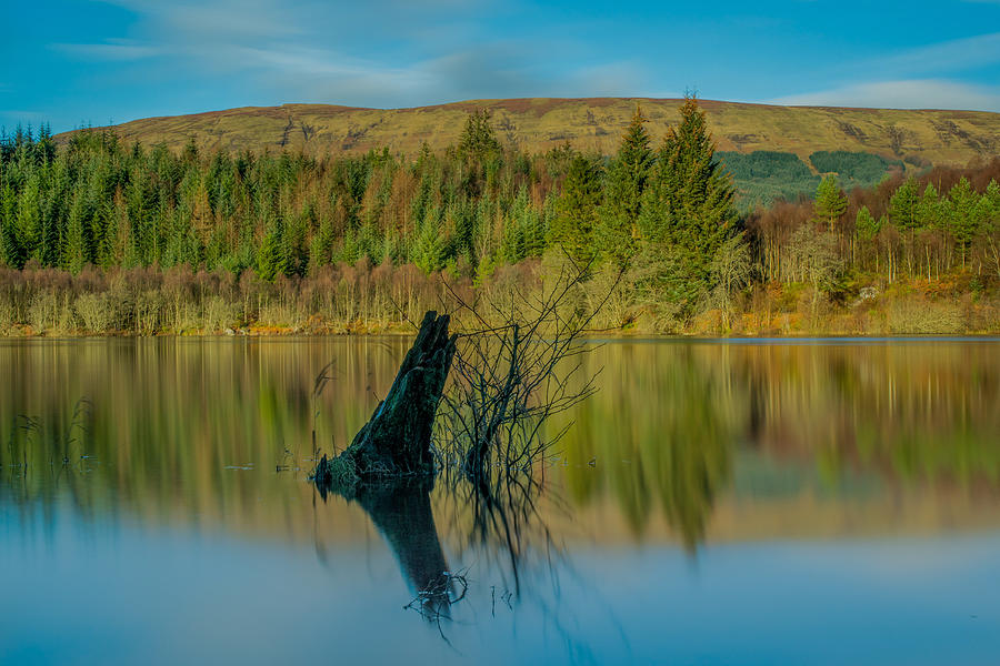 Loch Ard forest reflections  Photograph by Daniel Letford