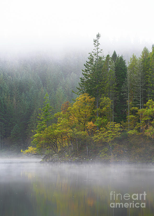 Loch Ard in Autumn Photograph by Maria Gaellman
