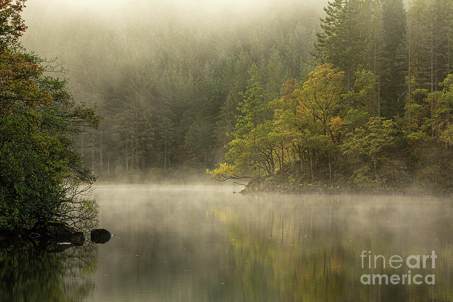 Loch Ard Misty Morning Photograph by Maria Gaellman