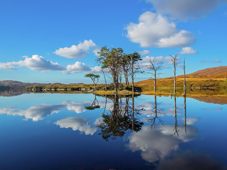 Tree Photograph - Loch Assynt West Highland Scotland by OBT Imaging