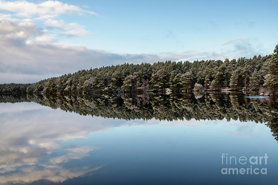 Loch Garten Stillness Photograph by Tim Gainey